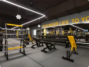 Imagen de gimnasio 0